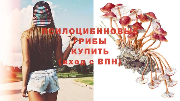 метадон Лабытнанги